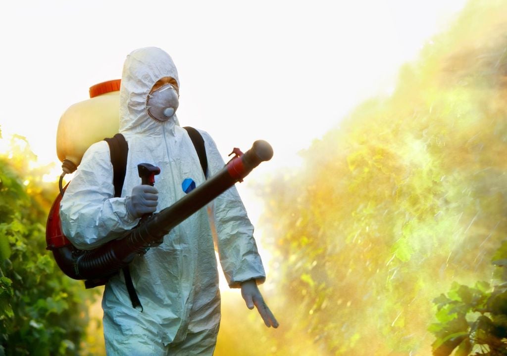 Fumigar Fumigar