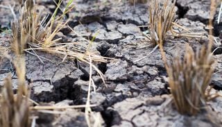 Cultivar sin agua: el reto de la agricultura espa&ntilde;ola ante un futuro m&aacute;s seco