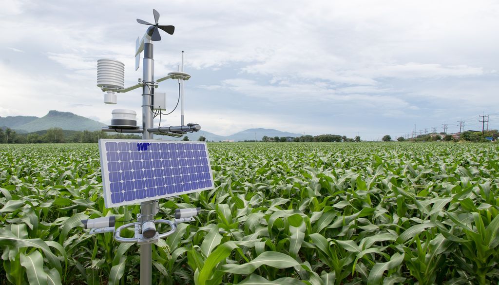 Imagen 3 Cada vez es más frecuente el uso de estaciones climáticas en las fincas agrícolas: información inmediata y exacta por geolocalización.