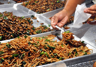 Cultivo sostenible: comer insectos una tendencia gastronómica que esta reinventando a la alimentación mundial