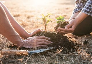 Cultivos da época: o que plantar em março?