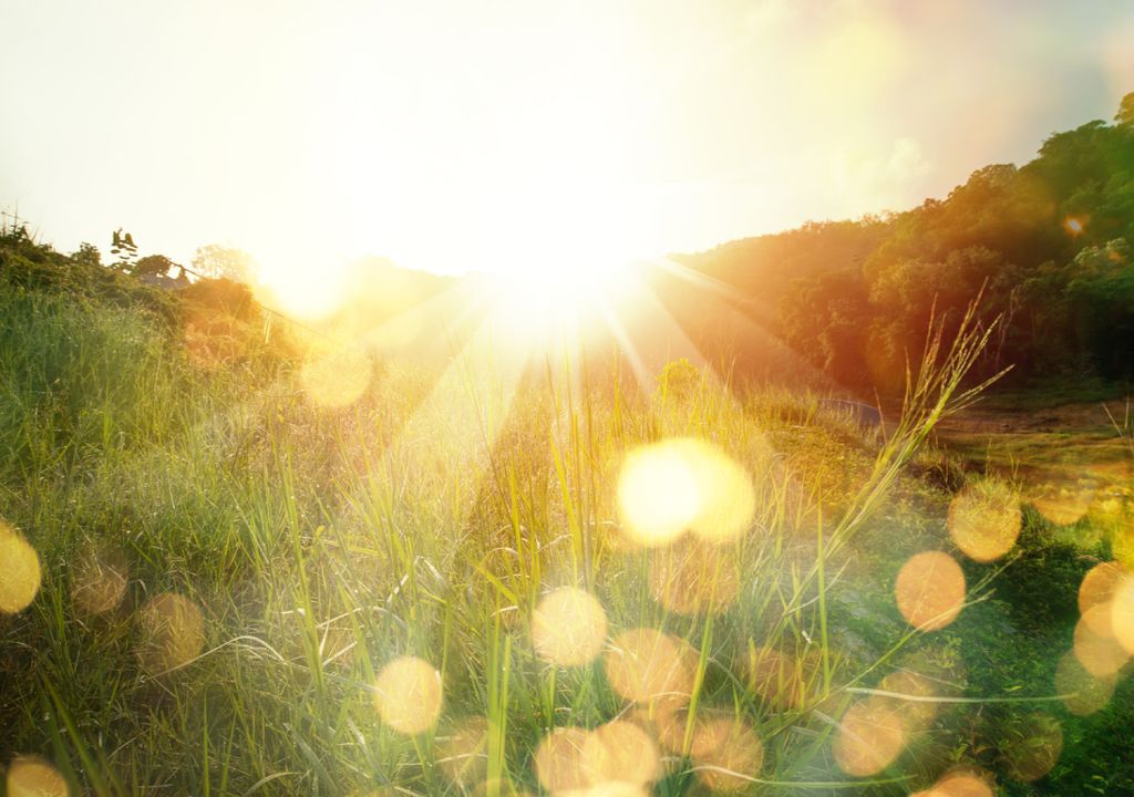hora de verão luz solar hora de verão luz solar