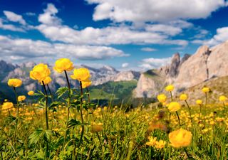 Curiosità e cose da sapere sulla primavera: perché si chiama così?