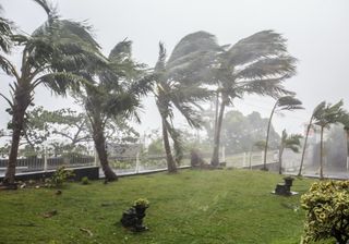 Ciclone Niran: venti fino a 200 km/h in Nuova Caledonia!