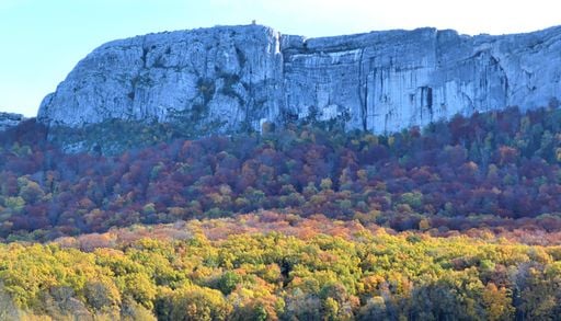 D'apr&egrave;s les avis laiss&eacute;s sur Google Maps, la plus belle for&ecirc;t de France se situe en Provence