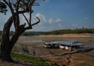 Da Amazônia ao Alasca: o El Niño, embora enfraquecido, ainda deve influenciar no aumento da temperatura global em 2024