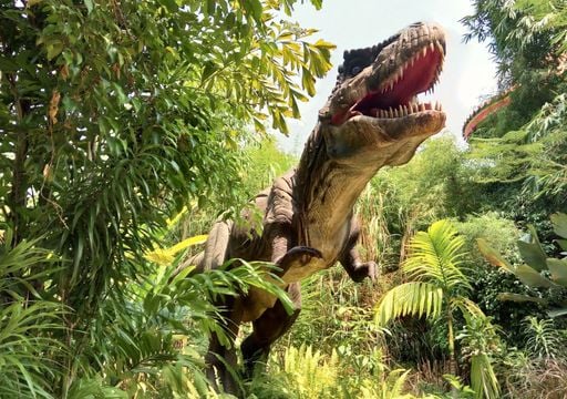 Da cucciolo a re dei dinosauri: la lunga adolescenza del Tyrannosaurus Rex