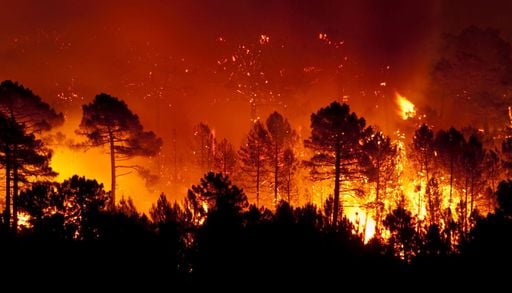 Dagli incendi del Triassico a quelli di oggi: cosa imparare da un pianeta dove un tempo i roghi duravano millenni