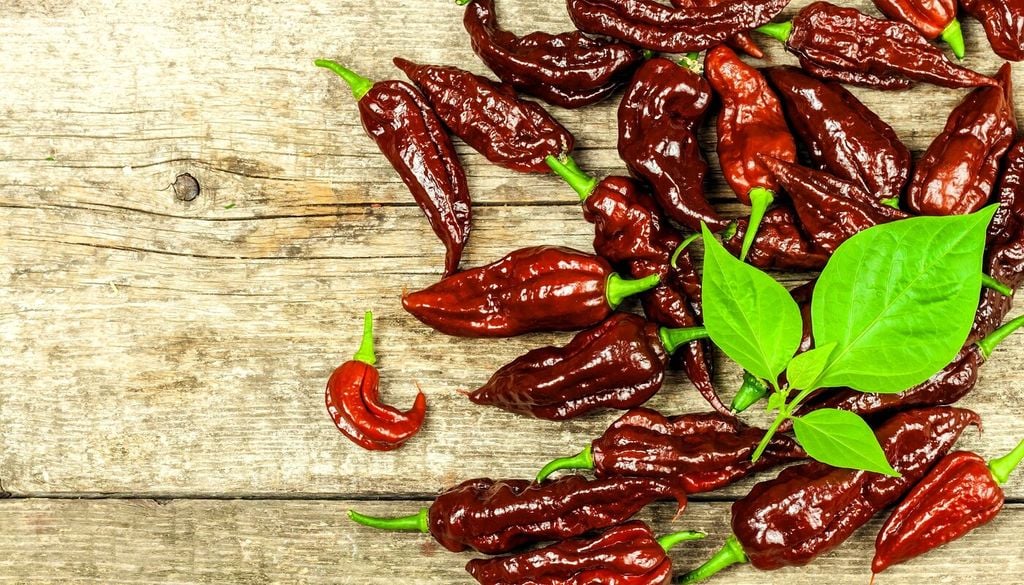 Varietà e piccantezza: quale scegliere
