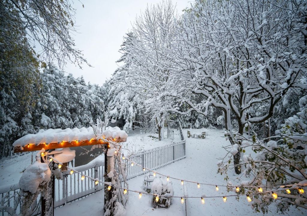 schnee, winterwetter, silvester schnee, winterwetter, silvester