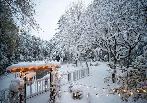„Damit hätte ich nicht gerechnet“: Experte warnt vor plötzlicher Wetterwende mit Frost und Schnee zum Jahreswechsel!