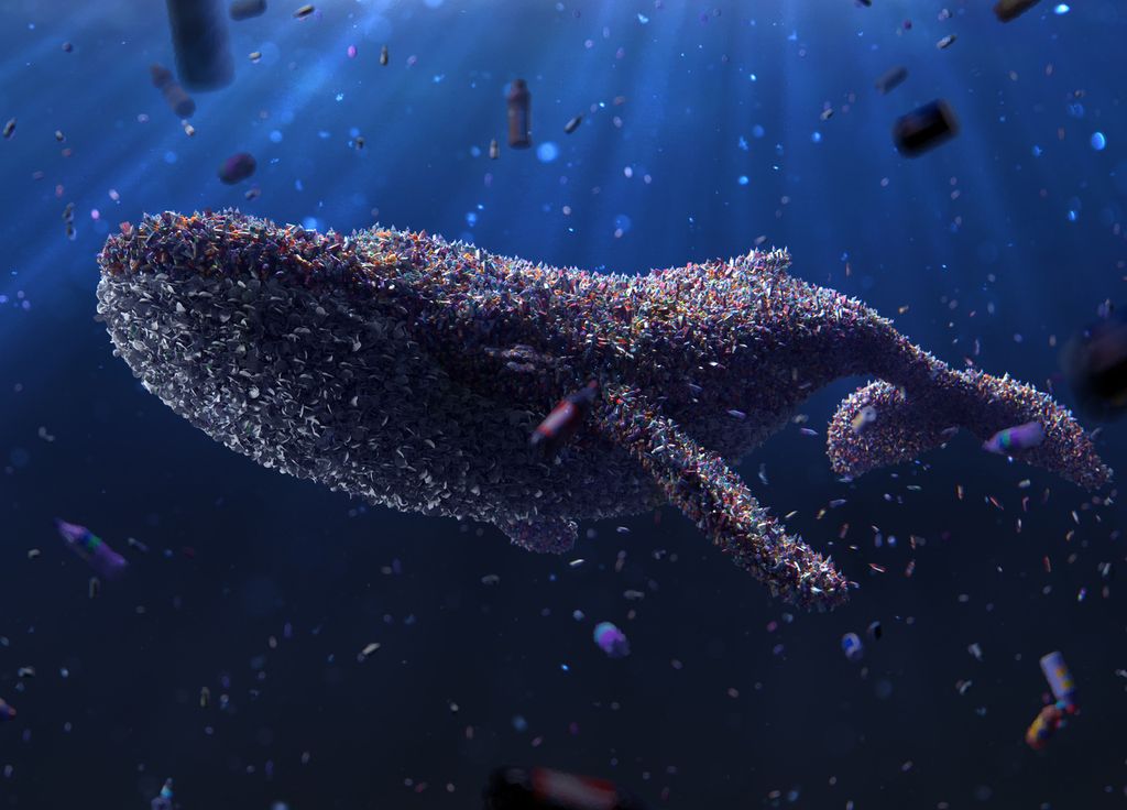 Baleine microplastique