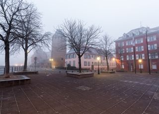 Dans ces villes de l'Est de la France, il n'a toujours pas gelé en février et c'est totalement dingue !
