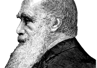 O receio de Darwin era injustificado: História evolutiva com um registo fóssil incompleto