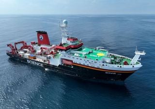 Das geheime Leben am Tiefseeboden: Im Nordpazifik existieren mehr Tierarten als gedacht