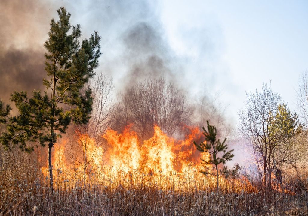 brand, hitze, wärme