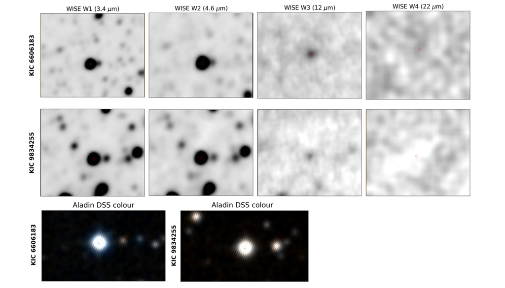 Mehrwellenlängenbilder der beiden aussichtsreichsten Stern-Kandidaten, oben KIC6606183, unten KIC9834255, WISE W1–W4, darunter die Aladin-DSS-Farbkomposite. Mehrwellenlängenbilder der beiden aussichtsreichsten Stern-Kandidaten, oben KIC6606183, unten KIC9834255, WISE W1–W4, darunter die Aladin-DSS-Farbkomposite. Bild: Torlakcik, 2026