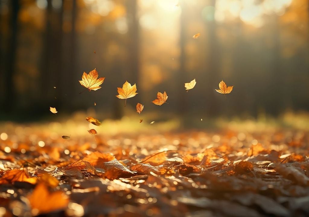 goldener Oktober Herbst Sonne warm bunt Blätter Auch diese Variante ist möglich: Zumindest regional wird es in der nächsten Zeit noch einmal goldene Oktobertage geben, besonders wenn nun die Verfärbung der Blätter auf Hochtouren läuft