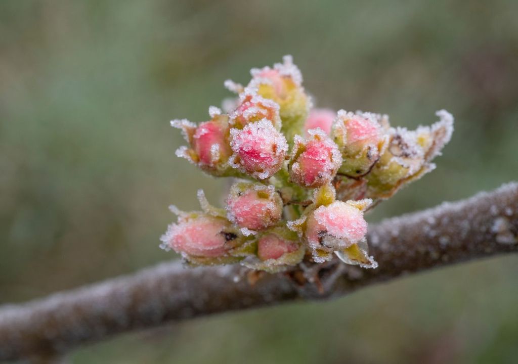 frost, wetter, deutschland