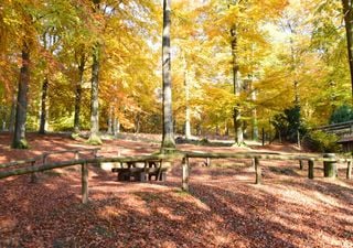 Das Wetter am langen Wochenende um den Tag der Deutschen Einheit: Hoffnung auf goldenen Oktober in Deutschland?