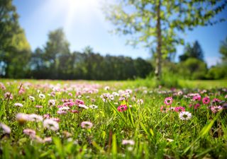 Das Wetter im April: viel Wärme und eine neue Dürre!