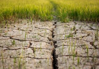 Das wird teuer: Hohe Klimaschäden für unsere Wirtschaft!