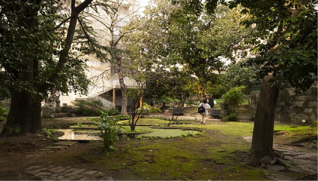 Ladeando a Casa de Marta Ortigão Sampaio, estão espécies de magnólias e um cedro do Atlas, entre variada flora de grande interesse para o município do Porto. Foto: António Alves/Museu do Porto