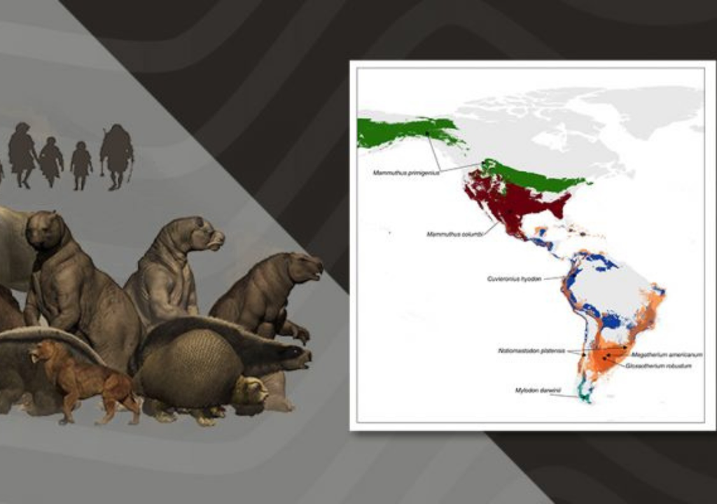 Primeros pobladores y sus presas. Los mamuts, en el norte, y los perezosos y gonfoterios en Sudamérica eran las presas preferidas de los primeros habitantes. Foto: CONICET / Megafauna 3D Project.