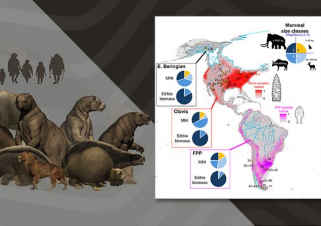 Primeros pobladores de América y sus presas. Los primeros pobladores basaban su dieta en la megafauna del continente. Foto: CONICET / Megafauna 3D Project.