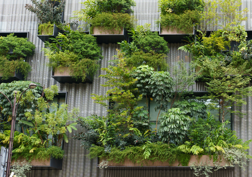 De basura a jard&iacute;n vertical casero: la tendencia verde que est&aacute; conquistando los hogares de CDMX
