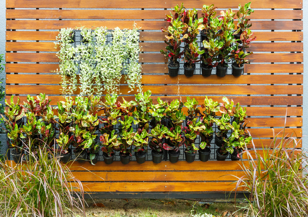 Las plantas aromáticas cultivadas en vertical suelen concentrar más aceites esenciales por ligero estrés radicular.