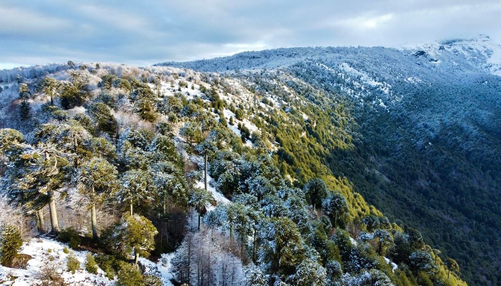 Montañas nevadas de Lonquimay en invierno. Lonquimay es un destino soñado para visitar en invierno.