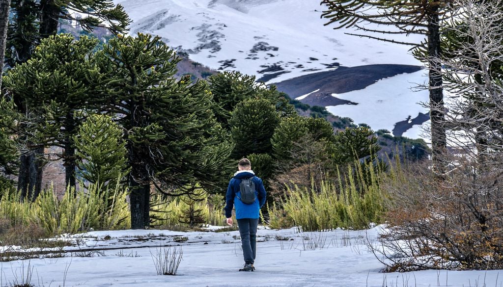 Lonquimay, Araucanía Andina, Chile. En los alrededores de Lonquimay hay numerosos lugares para practicar trekking.