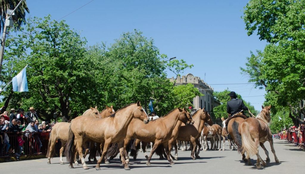 Fiesta Nacional del Caballo en Bragado