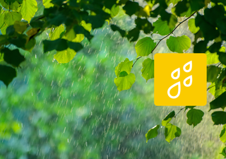 De la pluie en quantit&eacute; est-elle pr&eacute;vue d'ici ao&ucirc;t ? Voici les tendances m&eacute;t&eacute;o actualis&eacute;es