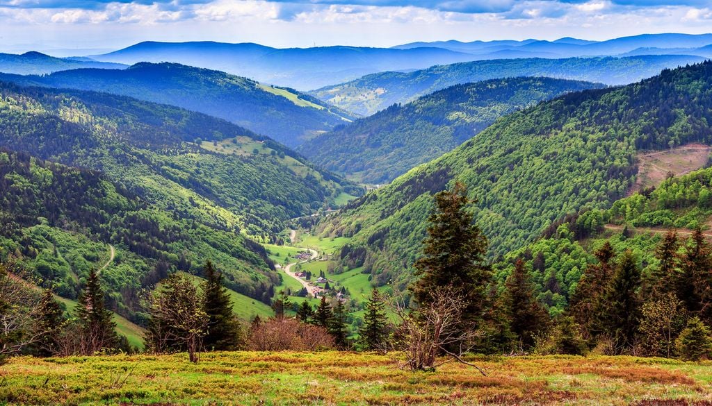 Le Mont Feldberg, dans la Forêt-Noire, en Allemagne. Le Mont Feldberg, dans la Forêt-Noire, en Allemagne.