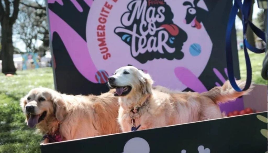 Festival Mascotear Festival Mascotear