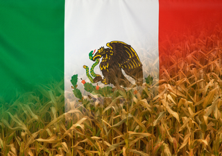 De México para el mundo: el legado del campo mexicano que enriquece el sector agroalimentario 