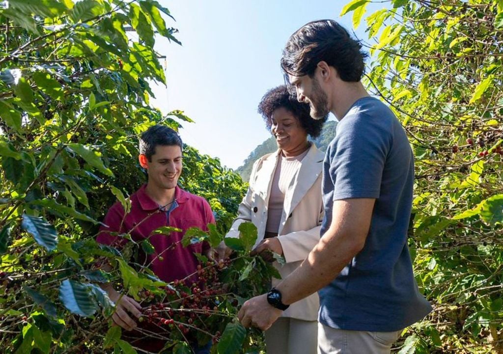 De Minas Gerais a Ceará: 7 rutas de café para descubrir a pocas horas de Buenos Aires