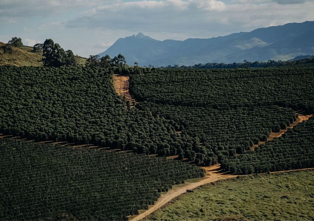 Ruta de los Cafés del Sur de Minas