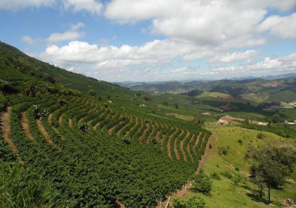 Rutas del Café de la Sierra del Caparaó