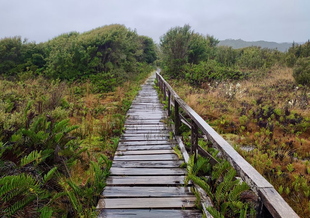 Parque Nacional Chiloé, Cucao. Parque Nacional Chiloé, Cucao.