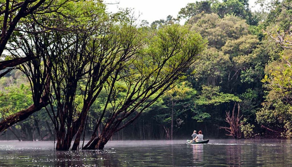 Passeio de barco pelas florestas inundadas (igapós) do Arquipélago de Anavilhanas. Crédito: Divulgação.
