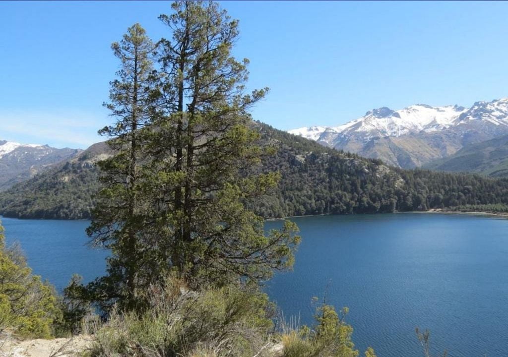Lago Lolog