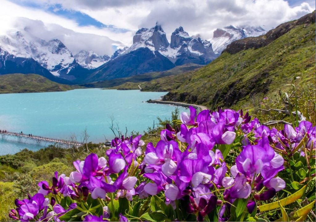 Parque Nacional Torres del Paine Parque Nacional Torres del Paine