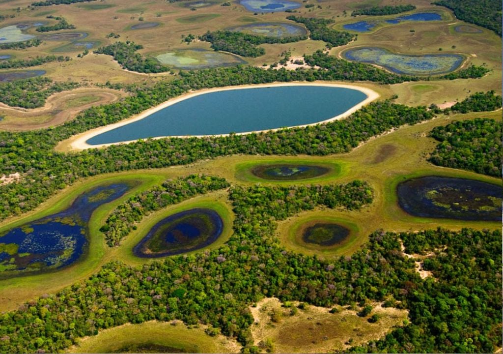Pantanal Pantanal