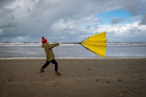 Es verdad que el viento altera el &aacute;nimo: la ciencia que hay detr&aacute;s del efecto foehn
