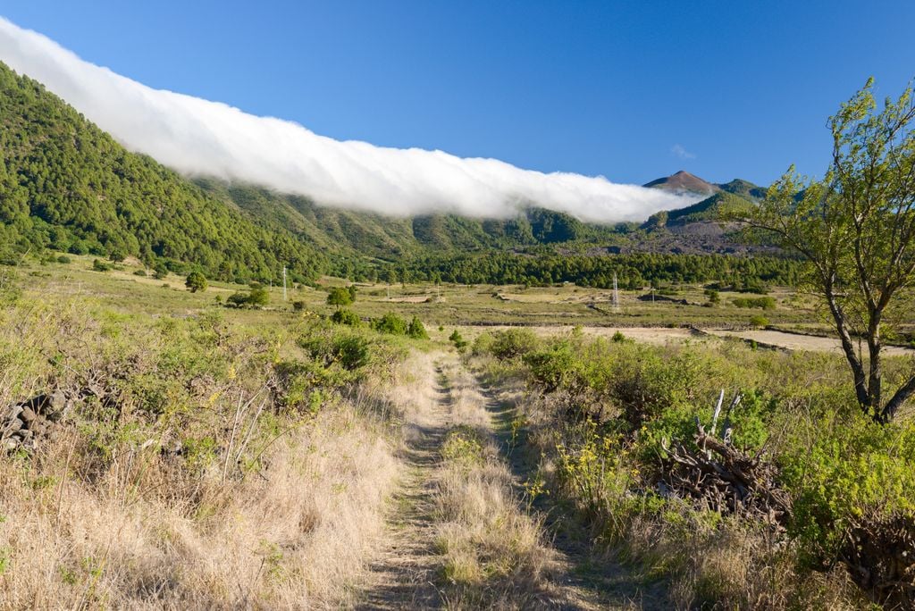 El aire llega "recocido" cargado de iones positivos y esto alterna la serotonina y, por tanto, nuestro estado de ánimo.