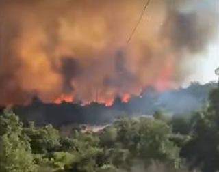 Deadly forest fires continue to rage in Chile