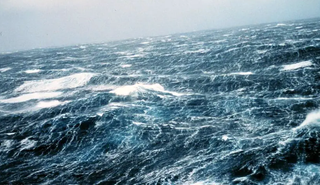 Debilitamiento de las corrientes oceánicas, como la AMOC, y la cantidad de nutrientes para la vida en el Atlántico Norte